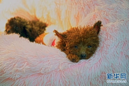 137646098_15438034143331n