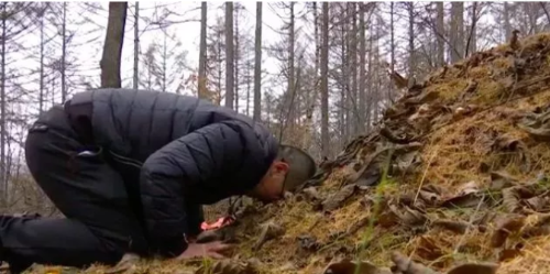 微信截圖_20181203174211