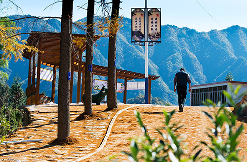 MAIN201811141608000259957904288