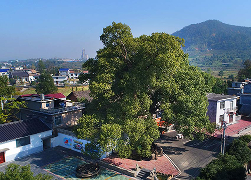 MAIN201811151548000184809170180