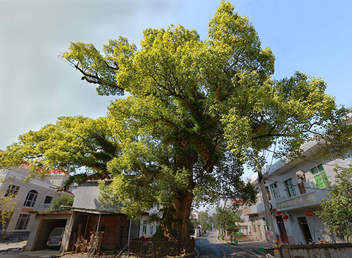 MAIN201811151548000198290754864