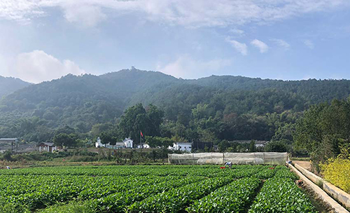 MAIN201811171313000380972201992