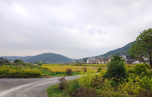 MAIN201811171313000387782858928