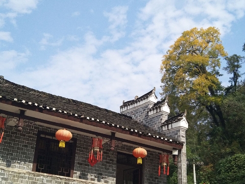 八舟村里的這家手工刺繡作坊遠(yuǎn)近聞名，相繼帶動(dòng)70余名侗族青年實(shí)現(xiàn)就地、就近就業(yè)，負(fù)責(zé)人陸婷被授予“中國(guó)青年五四獎(jiǎng)?wù)隆? oldsrc=