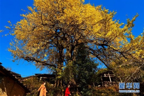 309c23cbaaa91d7049fe56 309c23cbaaa91d7049fe56