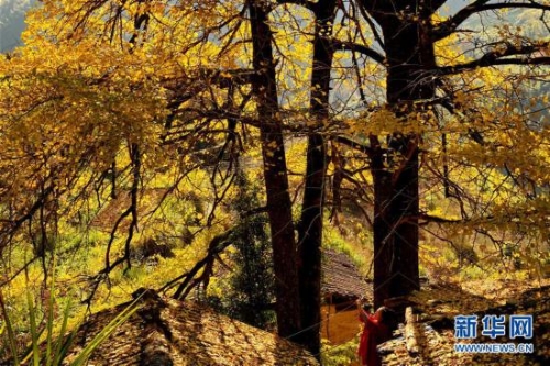 309c23cbaaa91d7049fe57 309c23cbaaa91d7049fe57