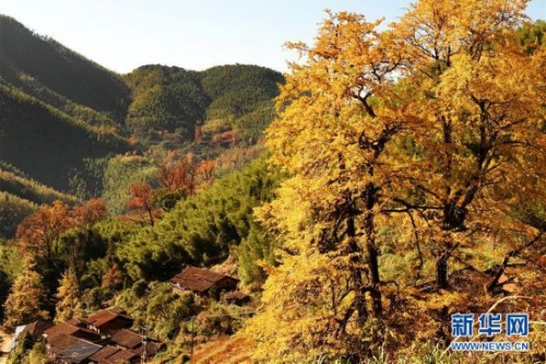 309c23cbaaa91d7049fe58 309c23cbaaa91d7049fe58