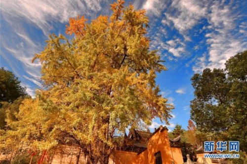 309c23cbaaa91d7049fe59 309c23cbaaa91d7049fe59