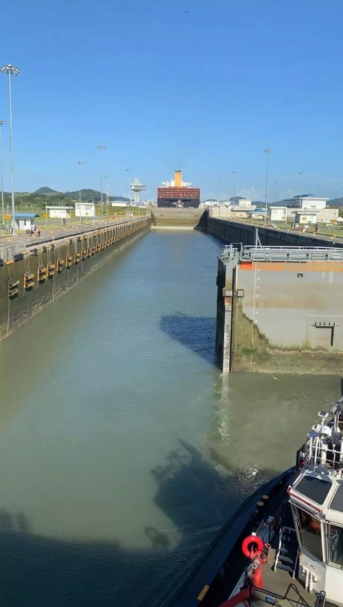 W020181204574170692784 W020181204574170692784