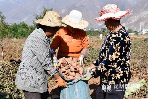 微信圖片_20181204172054