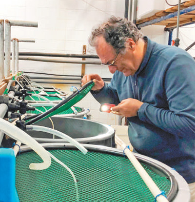 1543956896014_1 1543956896014_1