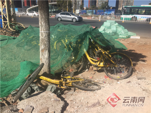 00300203907_bf0dde55 00300203907_bf0dde55