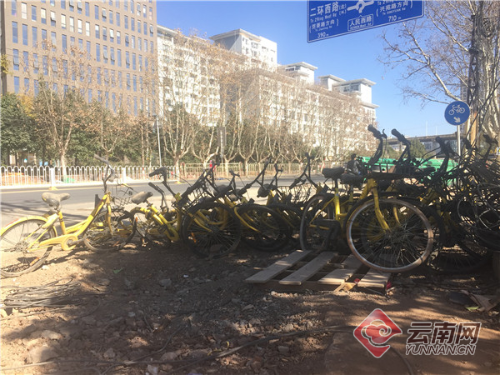 00300203908_5d5d1677 00300203908_5d5d1677