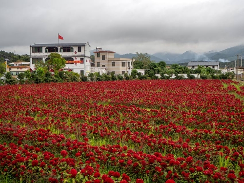 MAIN201811191602000473486705821