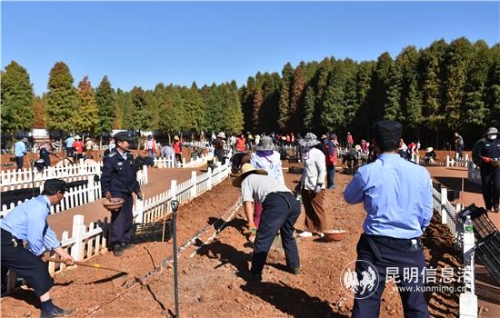 忙碌的種植_副本