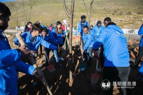 QQ截圖20181208155052