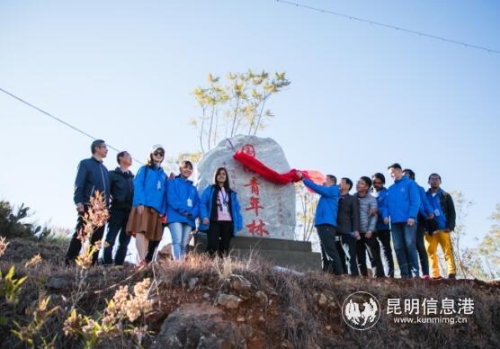 QQ截圖20181208155101