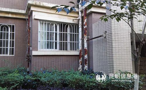 小區(qū)內(nèi)部分管道用刺鐵絲纏繞起來，防止他人攀爬。供圖