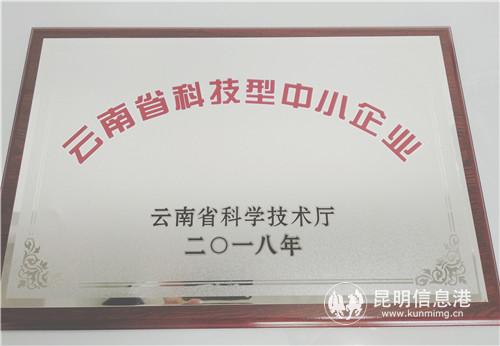 昆明信息港獲準(zhǔn)認(rèn)定為云南省科技型中小企業(yè)。記者劉雄斌 攝