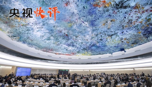 2018121112344679051 2018121112344679051