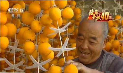 2018121109261678203 2018121109261678203