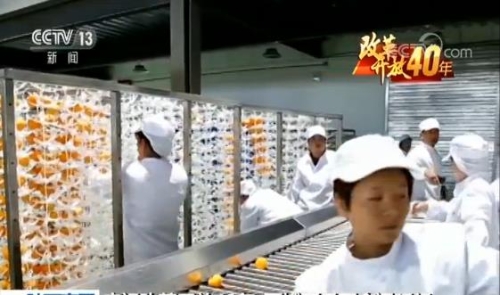 2018121109263247852 2018121109263247852