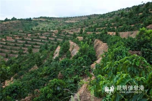 QQ圖片20181211174817