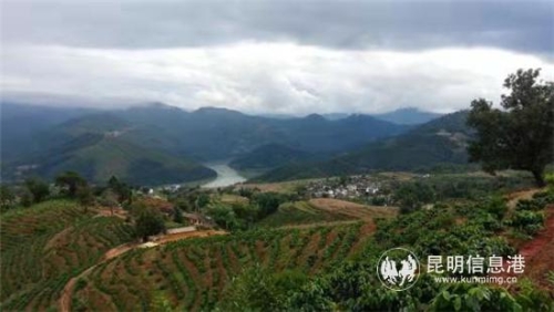 QQ圖片20181211174808