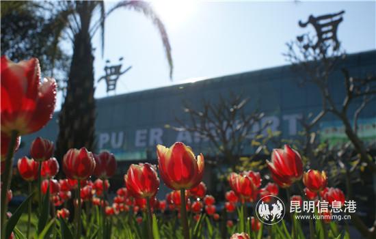 1212_1_副本 1212_1_副本