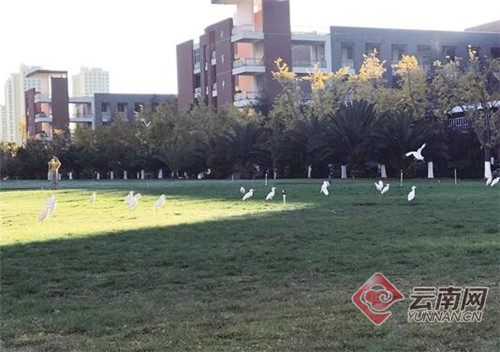 00300237710_20235e49 00300237710_20235e49