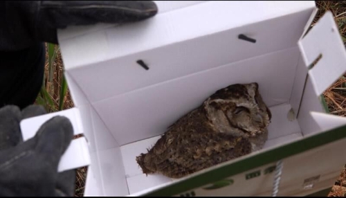 QQ圖片20181213183054