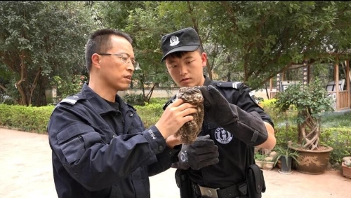 QQ圖片20181213183105