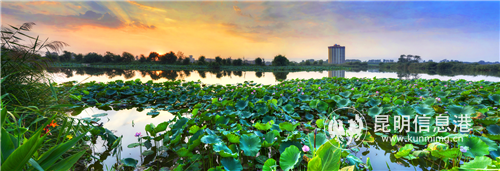 昆明嘉麗澤美景