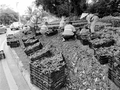 00300239529_1911987f