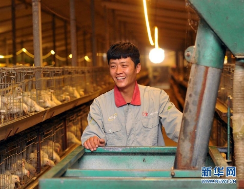 1123853908_15447686554681n 1123853908_15447686554681n