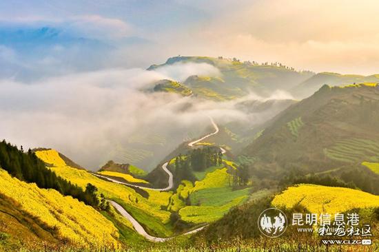 年度佳作獎《愛看羅平的花更愛看羅平的路》 年度佳作獎《愛看羅平的花更愛看羅平的路》