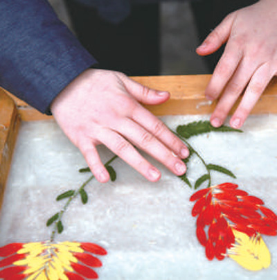 201812150350386213 201812150350386213