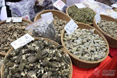 00300242632_97962c2a 00300242632_97962c2a