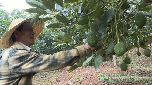 LQO8ASZKTI1 LQO8ASZKTI1