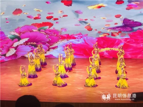 舞蹈《綻放》 舞蹈《綻放》