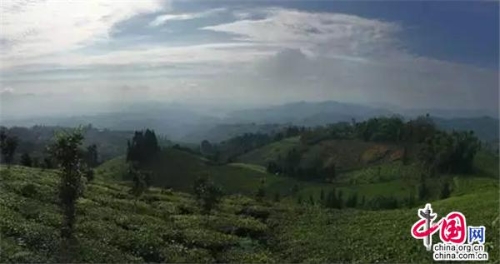 3d1fe9d7-1c3f-4a5e-896f-c030a8513634_batchwm