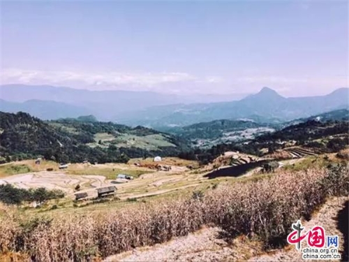 0230b3d1-f75c-45ab-959b-aab5b0cce1b5_batchwm