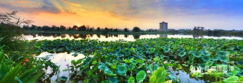 微信圖片_2018121815115138