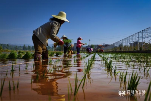 微信圖片_2018121815115118