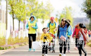 41611545073382431 41611545073382431