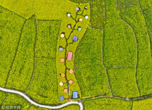 崇州重慶路 崇州重慶路