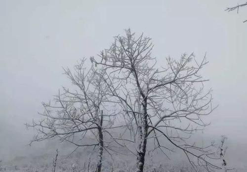 貢山丙中洛大雪1