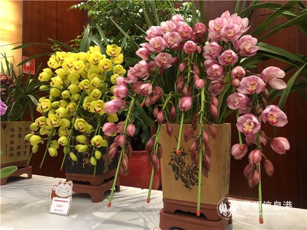 微信圖片_20181220142901 微信圖片_20181220142901