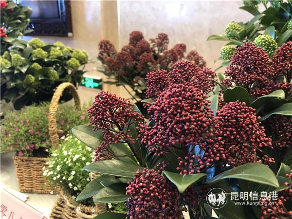 微信圖片_20181220142850 微信圖片_20181220142850