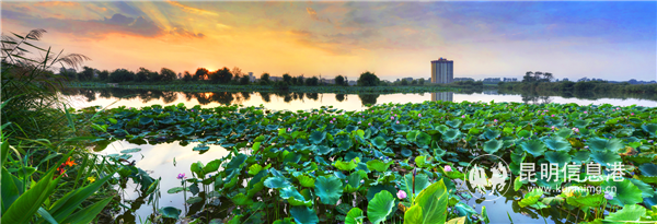 昆明嘉麗澤美景 昆明嘉麗澤美景